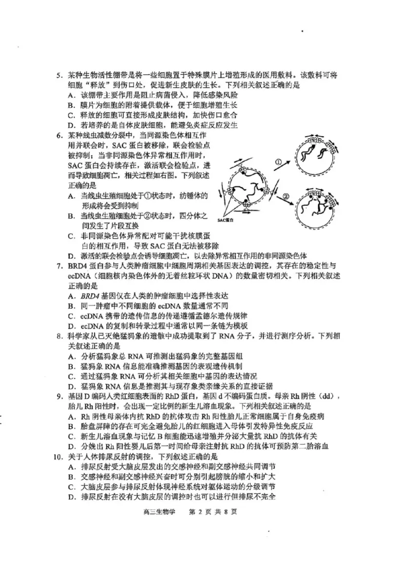 江苏苏锡常镇四市2026届高三下学期教学情况调研（一）生物试题（含答案）_2024-2026高三（6-6月题库）_2026年03月高三试卷