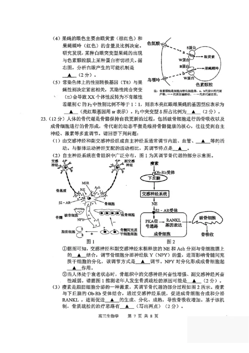 江苏苏锡常镇四市2026届高三下学期教学情况调研（一）生物试题（含答案）_2024-2026高三（6-6月题库）_2026年03月高三试卷