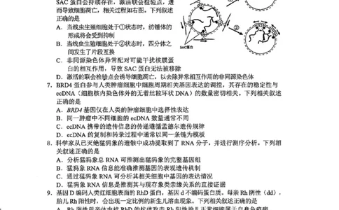 江苏苏锡常镇四市2026届高三下学期教学情况调研（一）生物试题（含答案）_2024-2026高三（6-6月题库）_2026年03月高三试卷