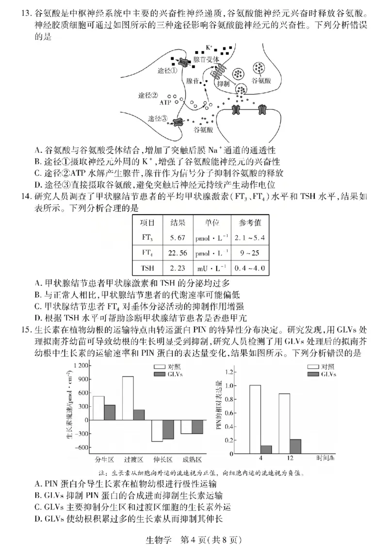 生物试题_2024-2026高三（6-6月题库）_2026年04月高三试卷_260429陕西、河南、山西天一顶尖计划（四）2026届4月联考（全科）_陕西、河南、山西天一顶尖计划（四）2026届高三4月联考生物