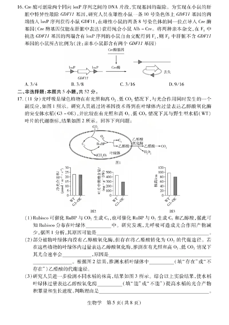 生物试题_2024-2026高三（6-6月题库）_2026年04月高三试卷_260429陕西、河南、山西天一顶尖计划（四）2026届4月联考（全科）_陕西、河南、山西天一顶尖计划（四）2026届高三4月联考生物