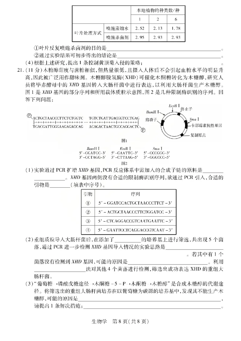 生物试题_2024-2026高三（6-6月题库）_2026年04月高三试卷_260429陕西、河南、山西天一顶尖计划（四）2026届4月联考（全科）_陕西、河南、山西天一顶尖计划（四）2026届高三4月联考生物