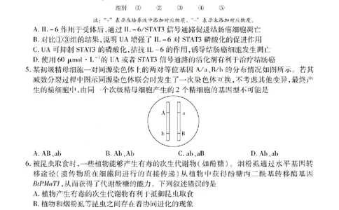 生物试题_2024-2026高三（6-6月题库）_2026年04月高三试卷_260429陕西、河南、山西天一顶尖计划（四）2026届4月联考（全科）_陕西、河南、山西天一顶尖计划（四）2026届高三4月联考生物