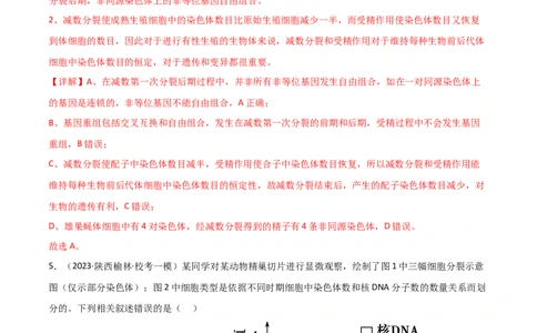 必修2遗传与进化测试卷（解析版）_新高考复习资料_2024年新高考复习资料_❤专项复习资料_完一轮测试备战2024年高考生物按教材测试卷（新教材新高考）_教师版（含答案解析）