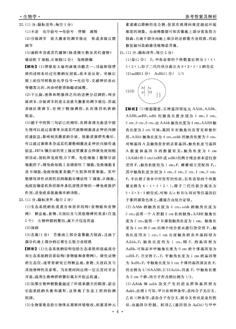 辽宁省名校联盟2025-2026学年高三下3月模拟考试生物试卷（含答案）_2024-2026高三（6-6月题库）_2026年03月高三试卷_250309辽宁省名校联盟2025-2026学年高三下3月模拟考试（全科）