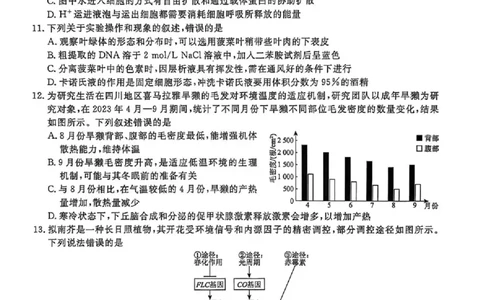 辽宁省名校联盟2025-2026学年高三下3月模拟考试生物试卷（含答案）_2024-2026高三（6-6月题库）_2026年03月高三试卷_250309辽宁省名校联盟2025-2026学年高三下3月模拟考试（全科）