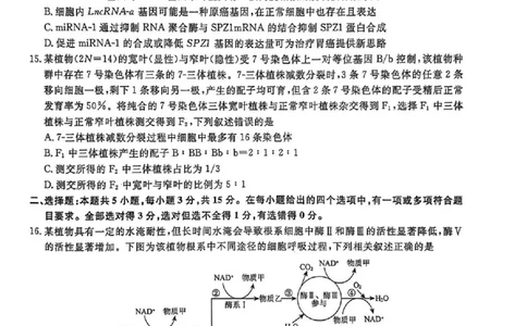 辽宁省名校联盟2025-2026学年高三下3月模拟考试生物试卷（含答案）_2024-2026高三（6-6月题库）_2026年03月高三试卷_250309辽宁省名校联盟2025-2026学年高三下3月模拟考试（全科）