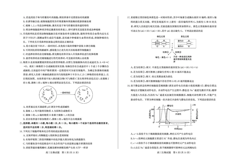 生物-山东省德州市2025-2026学年度2026届高三年级上学期期末_2024-2026高三（6-6月题库）_2026年02月高三试卷_260201山东省德州市2025-2026学年度2026届高三年级上学期期末（全科）