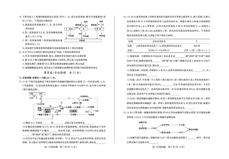 生物-山东省德州市2025-2026学年度2026届高三年级上学期期末_2024-2026高三（6-6月题库）_2026年02月高三试卷_260201山东省德州市2025-2026学年度2026届高三年级上学期期末（全科）