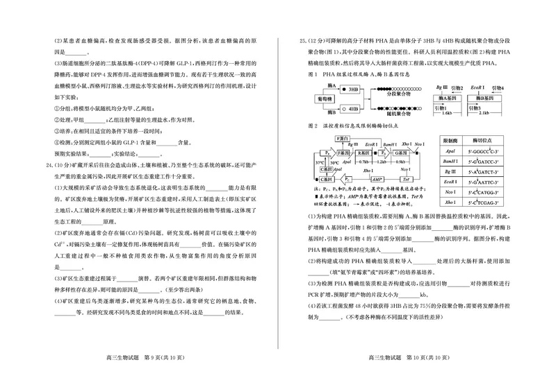 生物-山东省德州市2025-2026学年度2026届高三年级上学期期末_2024-2026高三（6-6月题库）_2026年02月高三试卷_260201山东省德州市2025-2026学年度2026届高三年级上学期期末（全科）