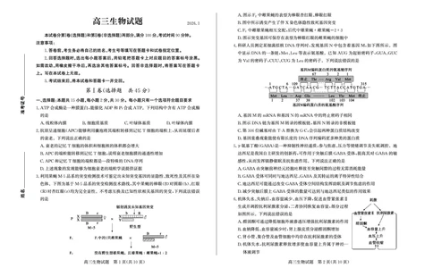 生物-山东省德州市2025-2026学年度2026届高三年级上学期期末_2024-2026高三（6-6月题库）_2026年02月高三试卷_260201山东省德州市2025-2026学年度2026届高三年级上学期期末（全科）