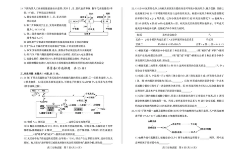 生物-山东省德州市2025-2026学年度2026届高三年级上学期期末_2024-2026高三（6-6月题库）_2026年02月高三试卷_260201山东省德州市2025-2026学年度2026届高三年级上学期期末（全科）