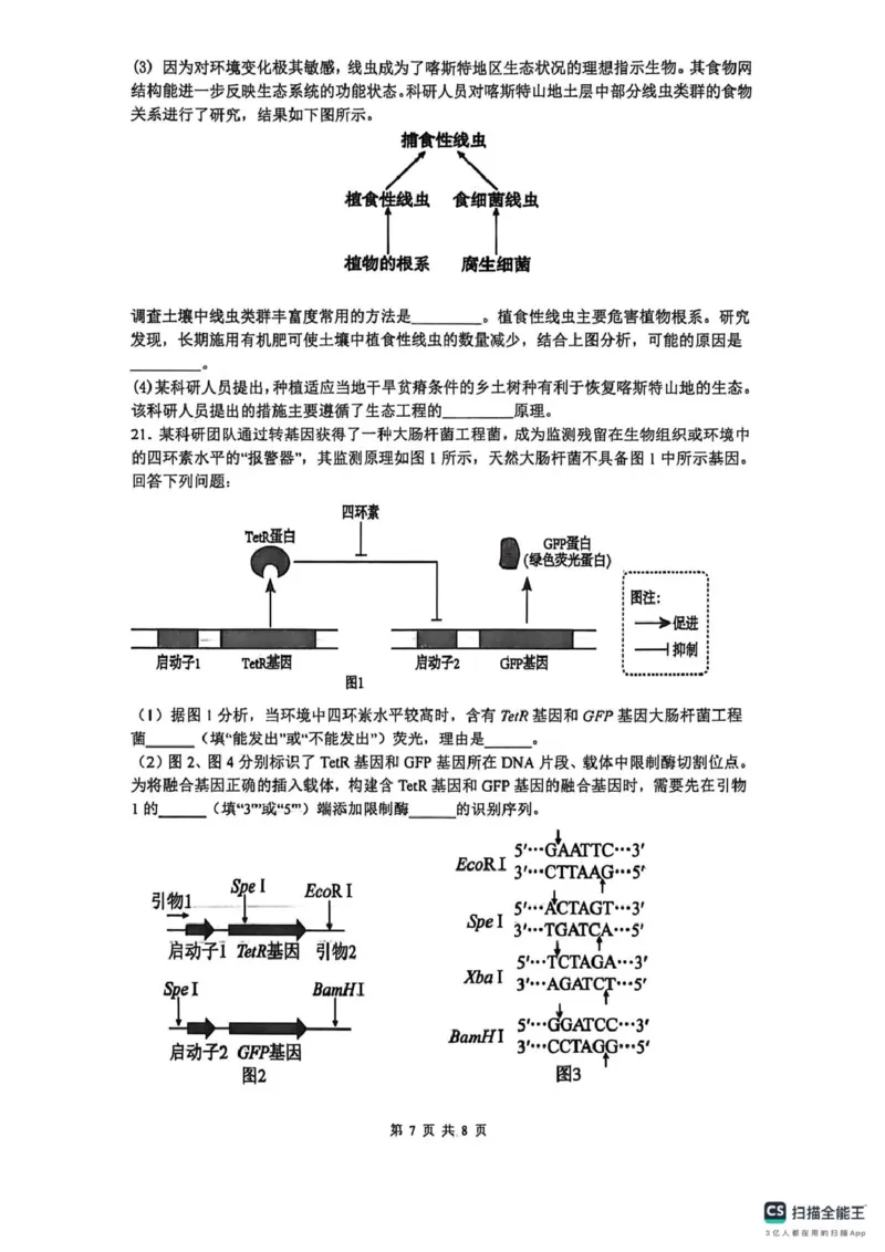 山大附中高三生物试题(1)_2024-2026高三（6-6月题库）_2026年04月高三试卷_260415山西大学附属中学校2025-2026学年高三下学期4月阶段检测（全科）