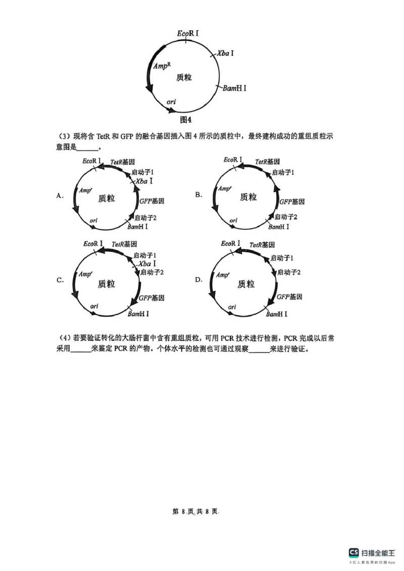 山大附中高三生物试题(1)_2024-2026高三（6-6月题库）_2026年04月高三试卷_260415山西大学附属中学校2025-2026学年高三下学期4月阶段检测（全科）