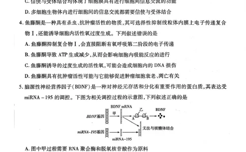 山西省、陕西省多校2026届高三下学期3月联考生物_2024-2026高三（6-6月题库）_2026年03月高三试卷_260327山西省、陕西省天一大联考2026届高三下学期3月联考（全科）