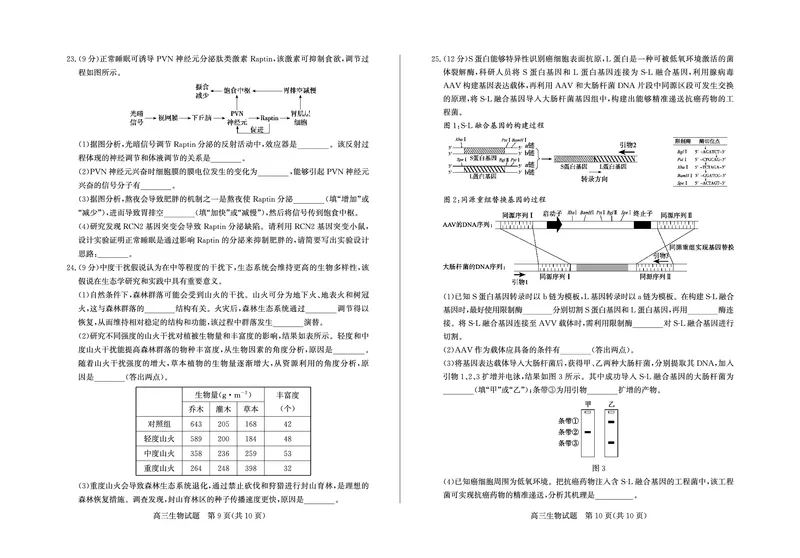 26德州一模-生物试题_2024-2026高三（6-6月题库）_2026年03月高三试卷_250309山东德州市2026届高三一模考试（全科）
