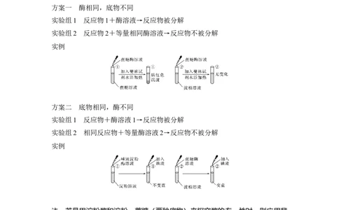 微专题3酶的相关拓展实验_通用版（老高考）复习资料_2023年复习资料_一轮复习_2023年高考生物一轮复习讲义+课件（全国版）_2023年高考生物一轮复习讲义（全国版）_赠补充习题