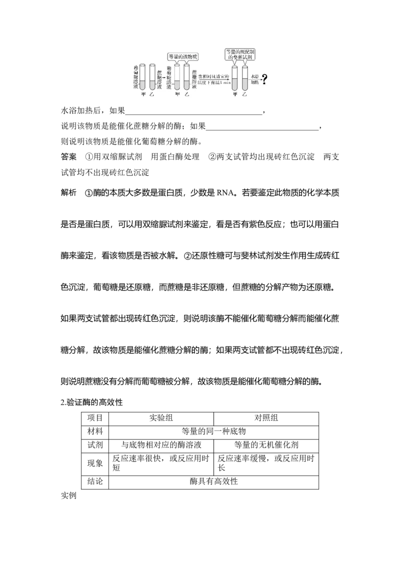 微专题3酶的相关拓展实验_通用版（老高考）复习资料_2023年复习资料_一轮复习_2023年高考生物一轮复习讲义+课件（全国版）_2023年高考生物一轮复习讲义（全国版）_赠补充习题