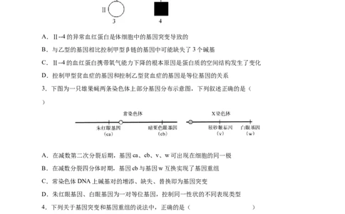 易错点17基因突变和基因重组-备战2023年高考生物考试易错题（新教材新高考）（原卷版）_新高考复习资料_2023年新高考复习资料_专项复习
