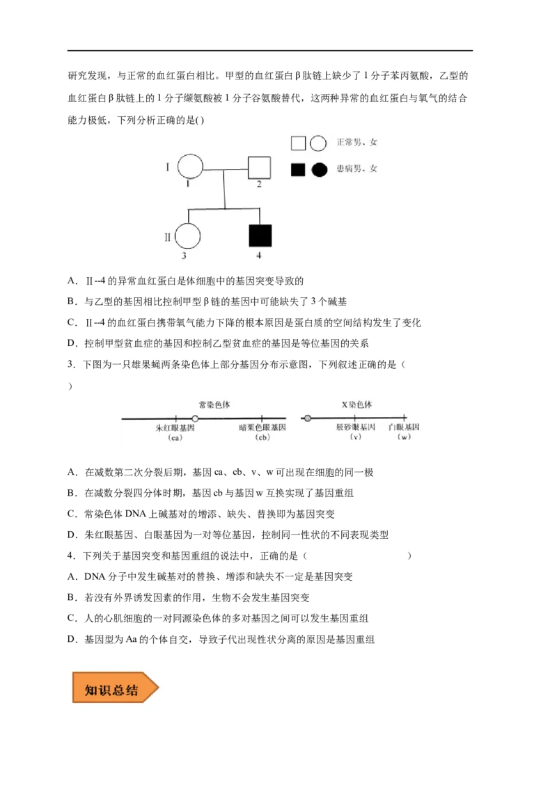 易错点17基因突变和基因重组-备战2023年高考生物考试易错题（新教材新高考）（原卷版）_新高考复习资料_2023年新高考复习资料_专项复习