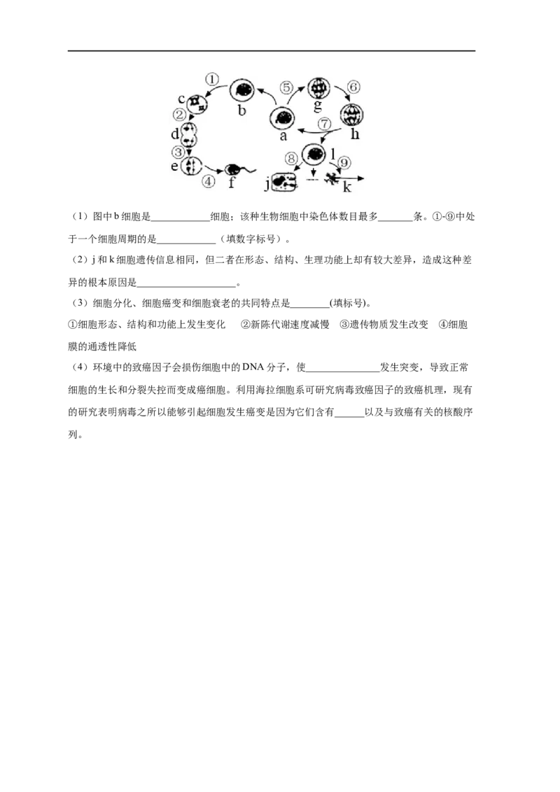 易错点17基因突变和基因重组-备战2023年高考生物考试易错题（新教材新高考）（原卷版）_新高考复习资料_2023年新高考复习资料_专项复习