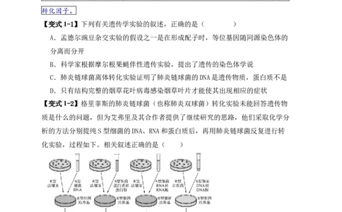 易错点08遗传物质探索实验中的&ldquo;三个&rdquo;误区（原卷版）_新高考复习资料_2024年新高考复习资料_❤专项复习资料_完备战2024年高考生物考试易错题（新高考专用）