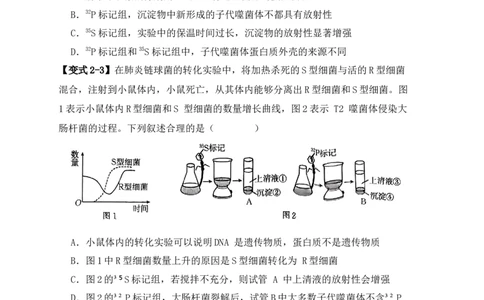 易错点08遗传物质探索实验中的&ldquo;三个&rdquo;误区（原卷版）_新高考复习资料_2024年新高考复习资料_❤专项复习资料_完备战2024年高考生物考试易错题（新高考专用）