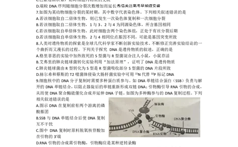 安徽省&ldquo;皖东县中联盟&rdquo;2022～2023学年第一学期高三联考生物试题及其答案_生物高考模拟题_新高考_2023年