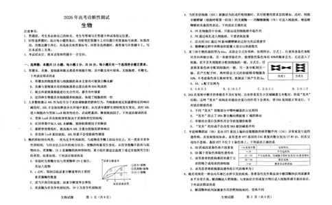 生物试题_2024-2026高三（6-6月题库）_2026年03月高三试卷_2603052026届山东省烟台市高三下学期一模
