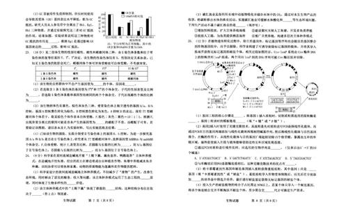 生物试题_2024-2026高三（6-6月题库）_2026年03月高三试卷_2603052026届山东省烟台市高三下学期一模