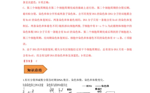 易错点10细胞分裂过程中物质或结构变化分析-备战2023年高考生物考试易错题（全国通用）（解析版）_通用版（老高考）复习资料_2023年复习资料_专项复习