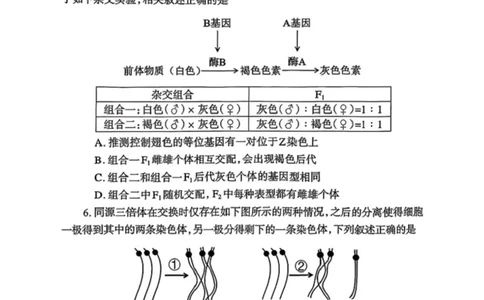 生物2026郑州高三二模试题及答案_2024-2026高三（6-6月题库）_2026年04月高三试卷_260423河南省郑州市2026年高中毕业年级第二次质量预测（全科）
