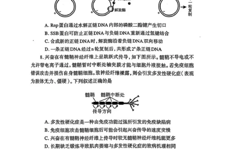 生物2026郑州高三二模试题及答案_2024-2026高三（6-6月题库）_2026年04月高三试卷_260423河南省郑州市2026年高中毕业年级第二次质量预测（全科）