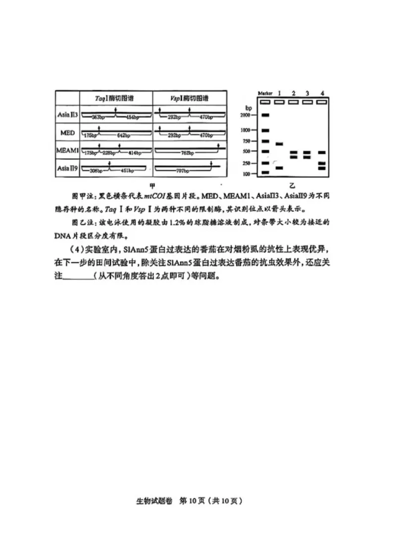 生物2026郑州高三二模试题及答案_2024-2026高三（6-6月题库）_2026年04月高三试卷_260423河南省郑州市2026年高中毕业年级第二次质量预测（全科）