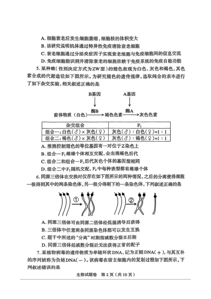 生物2026郑州高三二模试题及答案_2024-2026高三（6-6月题库）_2026年04月高三试卷_260423河南省郑州市2026年高中毕业年级第二次质量预测（全科）