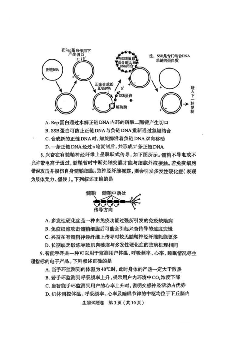 生物2026郑州高三二模试题及答案_2024-2026高三（6-6月题库）_2026年04月高三试卷_260423河南省郑州市2026年高中毕业年级第二次质量预测（全科）