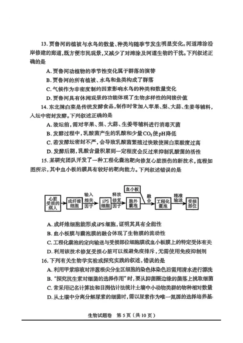生物2026郑州高三二模试题及答案_2024-2026高三（6-6月题库）_2026年04月高三试卷_260423河南省郑州市2026年高中毕业年级第二次质量预测（全科）