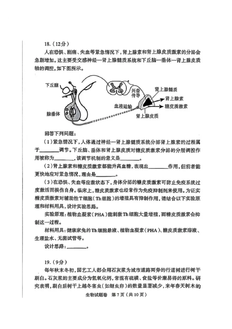 生物2026郑州高三二模试题及答案_2024-2026高三（6-6月题库）_2026年04月高三试卷_260423河南省郑州市2026年高中毕业年级第二次质量预测（全科）