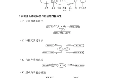 微专题1细胞中有机物的推断_通用版（老高考）复习资料_2023年复习资料_一轮复习_2023年高考生物一轮复习讲义+课件（全国版）_2023年高考生物一轮复习讲义（全国版）_赠补充习题