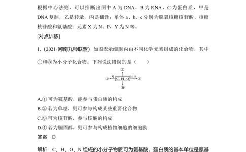 微专题1细胞中有机物的推断_通用版（老高考）复习资料_2023年复习资料_一轮复习_2023年高考生物一轮复习讲义+课件（全国版）_2023年高考生物一轮复习讲义（全国版）_赠补充习题