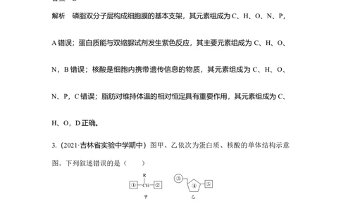 微专题1细胞中有机物的推断_通用版（老高考）复习资料_2023年复习资料_一轮复习_2023年高考生物一轮复习讲义+课件（全国版）_2023年高考生物一轮复习讲义（全国版）_赠补充习题
