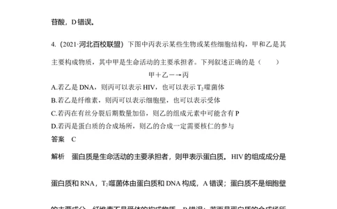 微专题1细胞中有机物的推断_通用版（老高考）复习资料_2023年复习资料_一轮复习_2023年高考生物一轮复习讲义+课件（全国版）_2023年高考生物一轮复习讲义（全国版）_赠补充习题