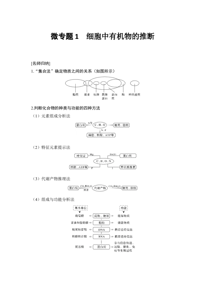 微专题1细胞中有机物的推断_通用版（老高考）复习资料_2023年复习资料_一轮复习_2023年高考生物一轮复习讲义+课件（全国版）_2023年高考生物一轮复习讲义（全国版）_赠补充习题