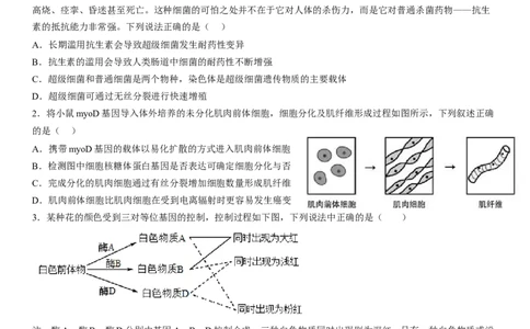 大连市第二十四中学2022-2023学年度高考适应性测试（一）生物试题_生物高考模拟题_老高考_2023年_2023辽宁省大连市第二十四中学高三上学期高考适应性测试（一模）生物