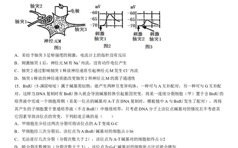 大连市第二十四中学2022-2023学年度高考适应性测试（一）生物试题_生物高考模拟题_老高考_2023年_2023辽宁省大连市第二十四中学高三上学期高考适应性测试（一模）生物