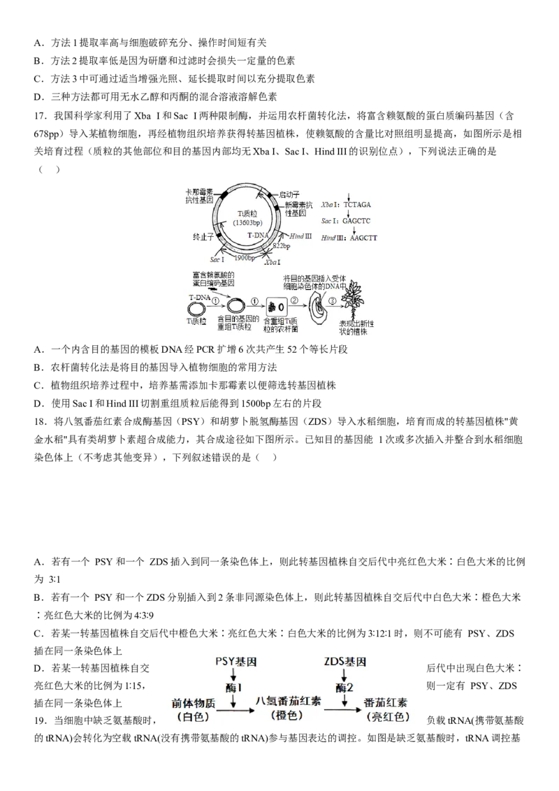 大连市第二十四中学2022-2023学年度高考适应性测试（一）生物试题_生物高考模拟题_老高考_2023年_2023辽宁省大连市第二十四中学高三上学期高考适应性测试（一模）生物