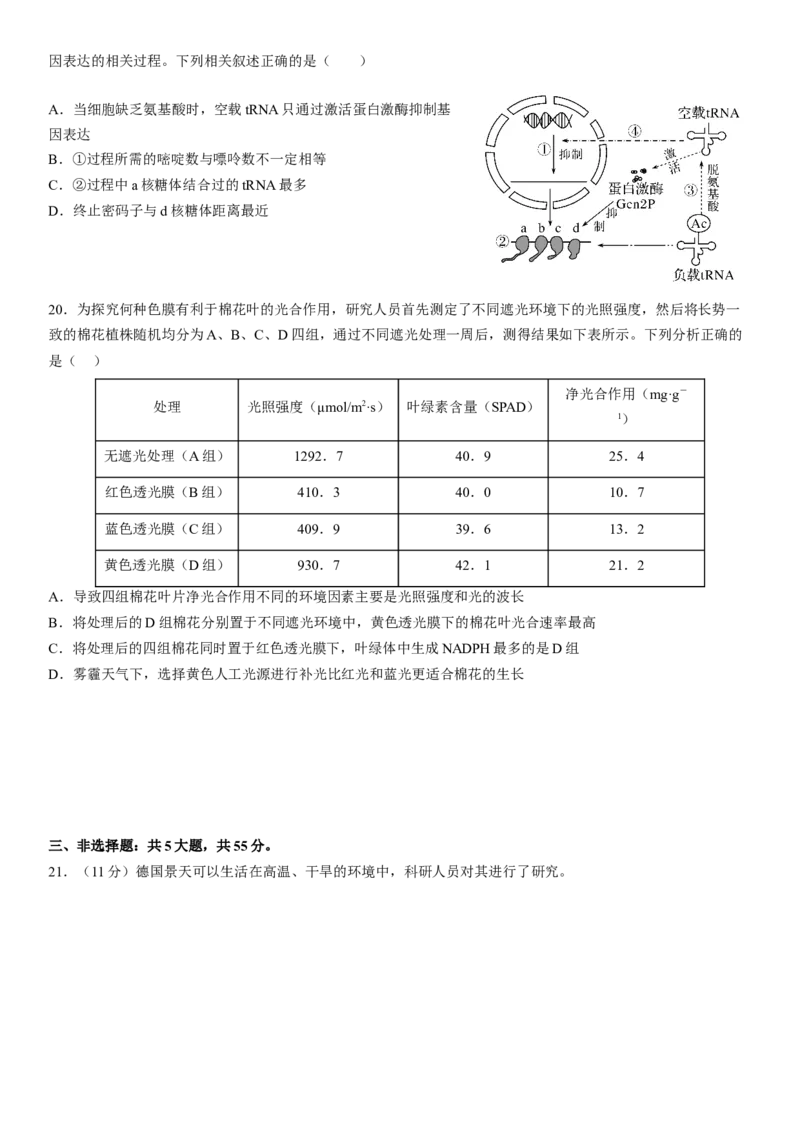 大连市第二十四中学2022-2023学年度高考适应性测试（一）生物试题_生物高考模拟题_老高考_2023年_2023辽宁省大连市第二十四中学高三上学期高考适应性测试（一模）生物