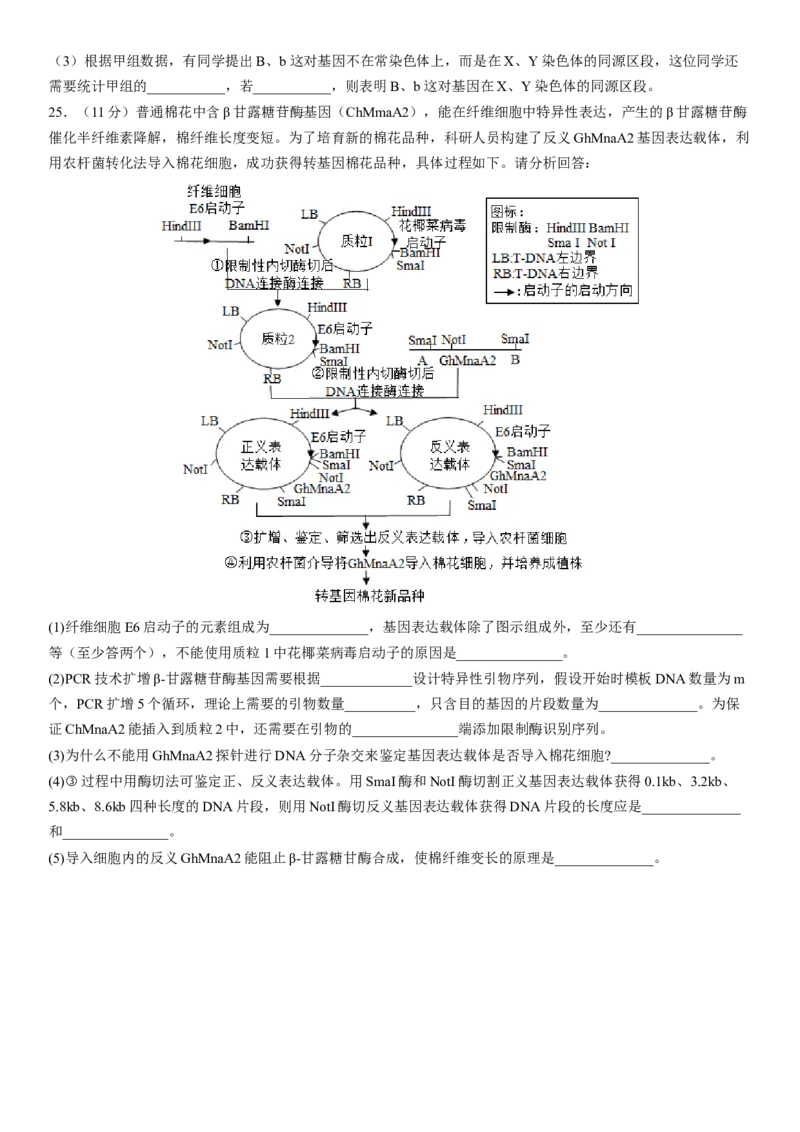 大连市第二十四中学2022-2023学年度高考适应性测试（一）生物试题_生物高考模拟题_老高考_2023年_2023辽宁省大连市第二十四中学高三上学期高考适应性测试（一模）生物