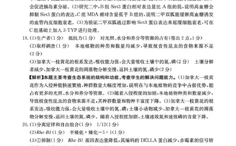 云南省2026届高三下学期4月联考（26-338C）生物答案_2024-2026高三（6-6月题库）_2026年04月高三试卷_260427金太阳&middot;云南省2026届高三下学期4月联考（26-338C）（全科）
