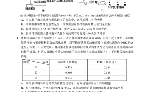 宜宾市普通高中2023级第二次诊断性测试生物_2024-2026高三（6-6月题库）_2026年03月高三试卷_260321四川省宜宾市普通高中2023级第二次诊断性测试（全科）